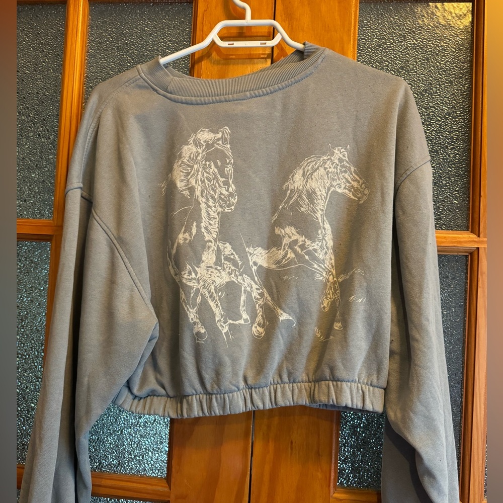 H&M Wild West Cropped Hoodie